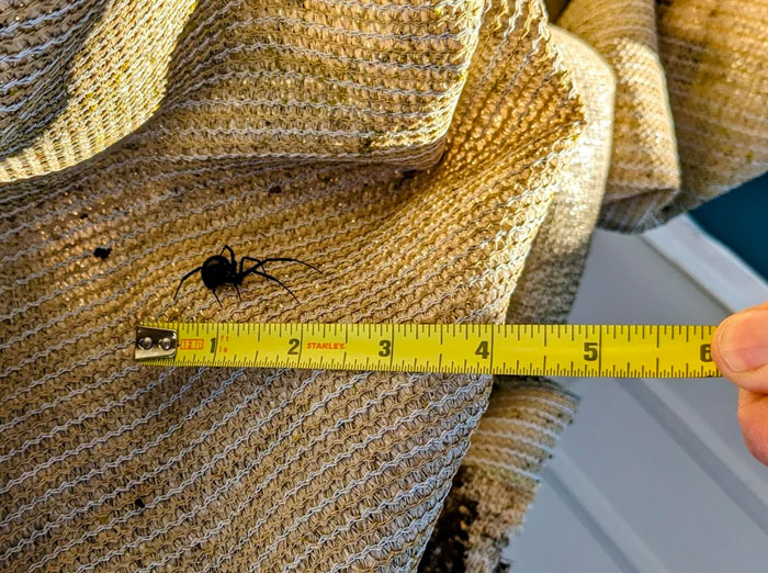 This Was In My Glove