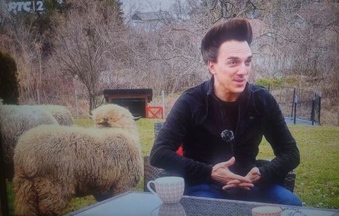 Vegeta After 3 Weeks In Serbia