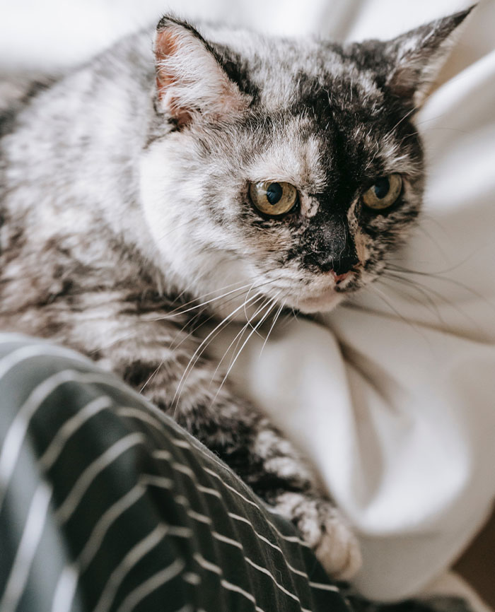 "Started Forgetting Words": 30 People Share Early Signs Of Cancer To Look Out For