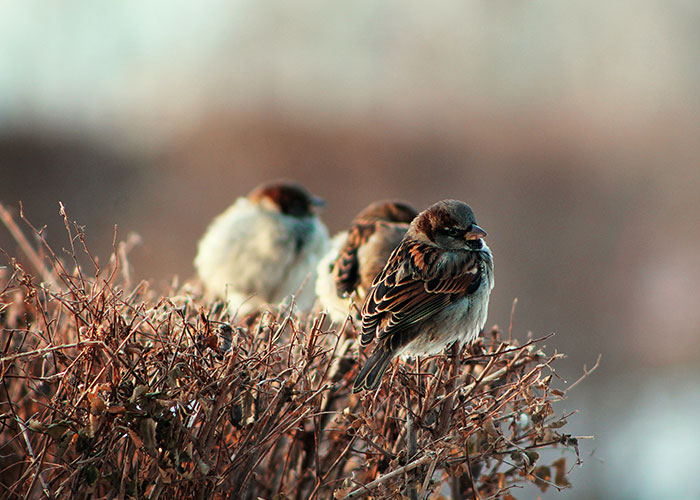 35 Silly And Careless Mistakes That Have Cost People Their Lives