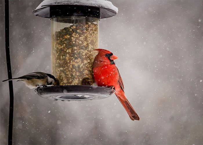 "What Is Something That Is Super Cheap, But Vastly Improves Your Quality Of Life?" (30 Answers)