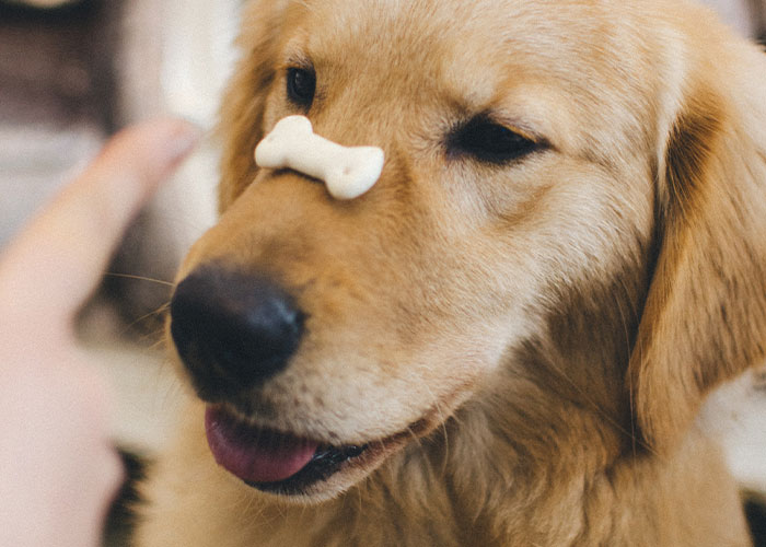 "What Is Something That Is Super Cheap, But Vastly Improves Your Quality Of Life?" (30 Answers)