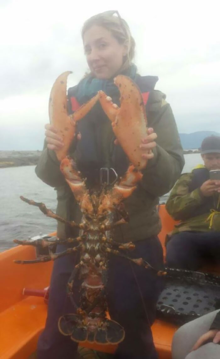My Cousin Just Caught The Biggest Lobster I've Ever Seen. She For Size Comparison