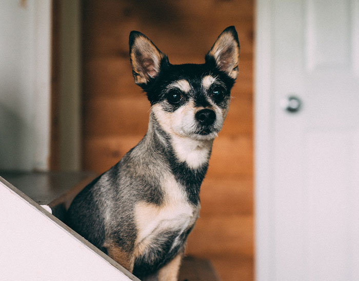 "It's Ruined Me Forever": 30 People Share What They Became Obsessed With Once They'd Tried It Once