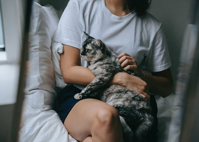 "It's Ruined Me Forever": 30 People Share What They Became Obsessed With Once They'd Tried It Once