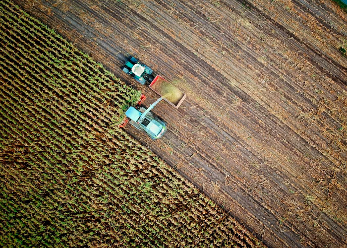 Americans Are Sharing Things They Wish The US Would Learn From Other Countries, And Here Are 30 Insightful Answers