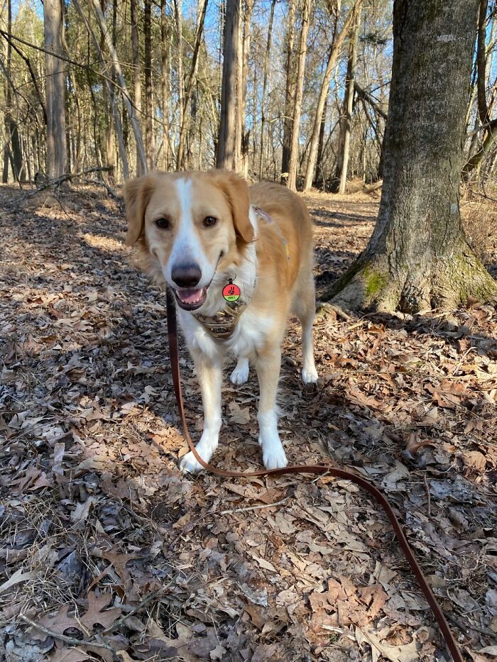 All Grown Up And Still Loves Going On Hikes