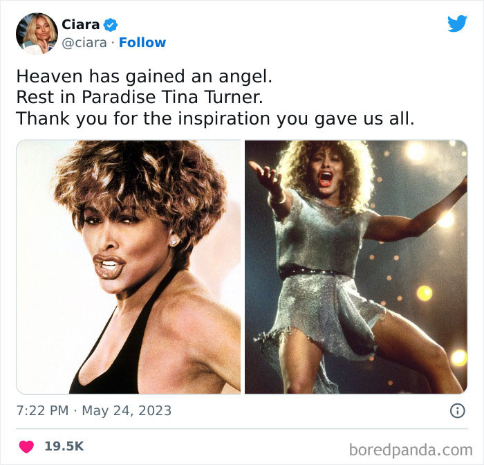 Tina-Turner-Tributes
