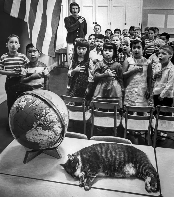 People Are Sharing Uncommon Facts On ‘Today I Learned’, Here Are 40 Of The Most Interesting (New Pics)