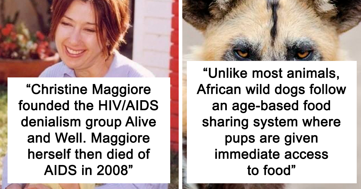 36 Lesser-Known Facts About The World That Should Be Common Knowledge
