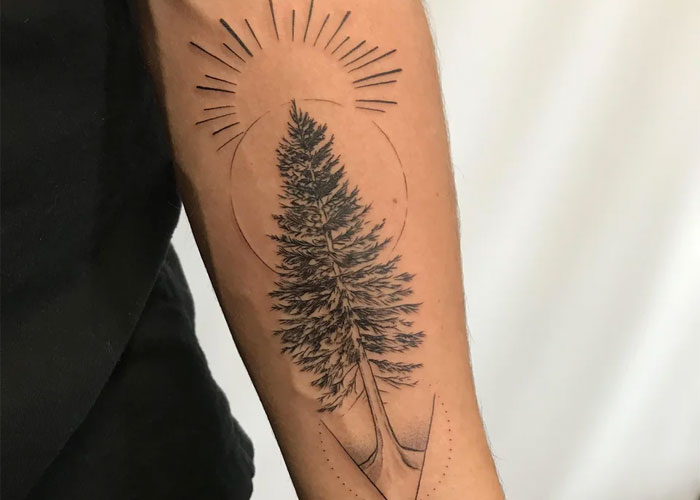 Tattoo of a detailed tree with a sunburst design on a forearm, representing a popular tattoo choice lacking creativity.