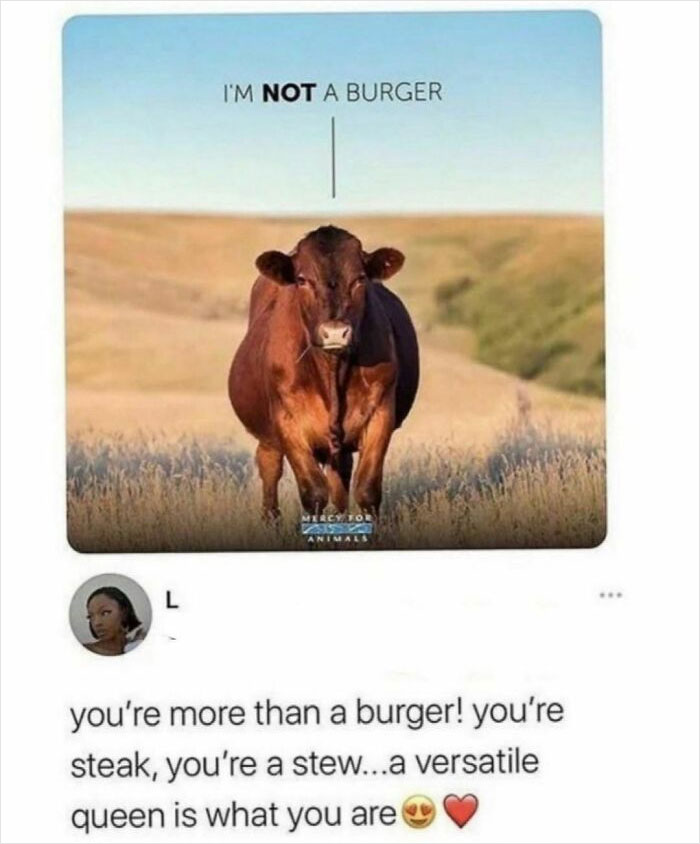 Weird-Cursed-Comments