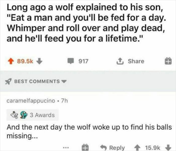 Weird-Cursed-Comments