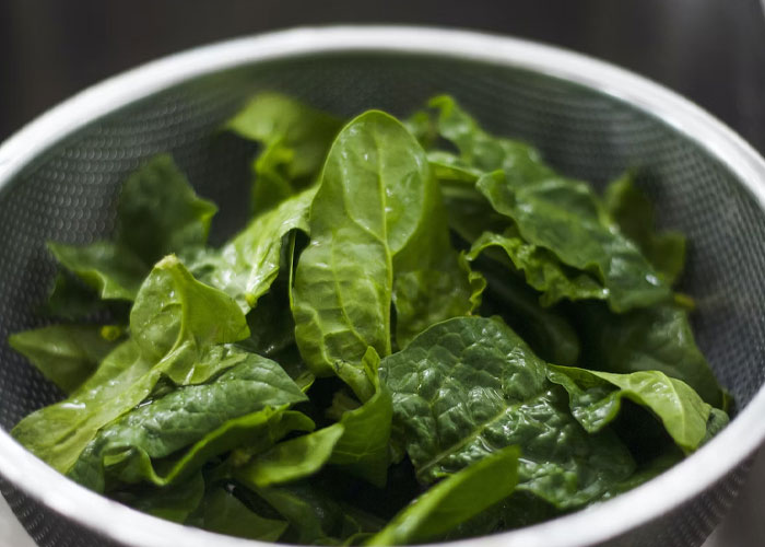Fresh spinach leaves in a mesh colander, illustrating the weirdest guest house rules about food and behavior.