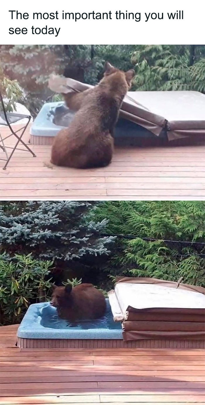 Wholesome-Memes-Hurtingsouls