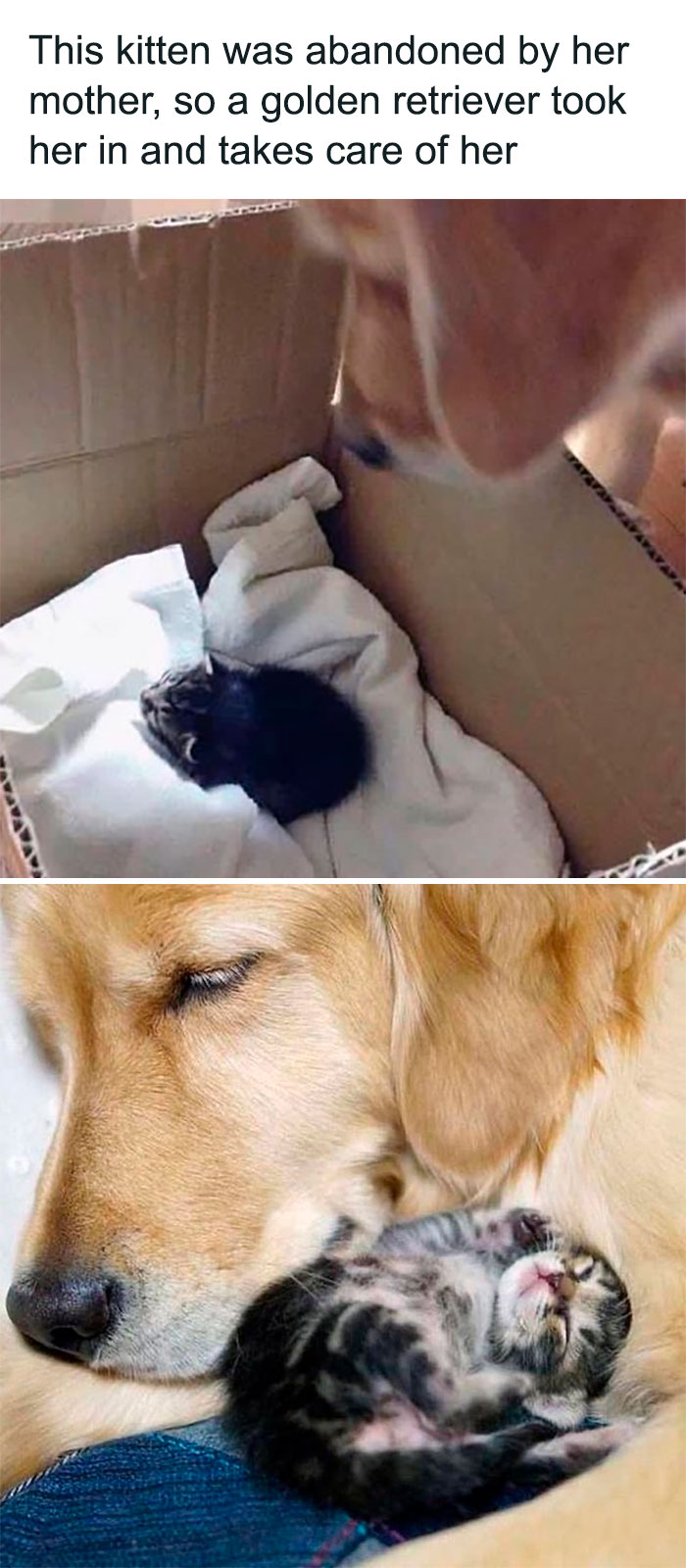 Wholesome-Memes-Hurtingsouls