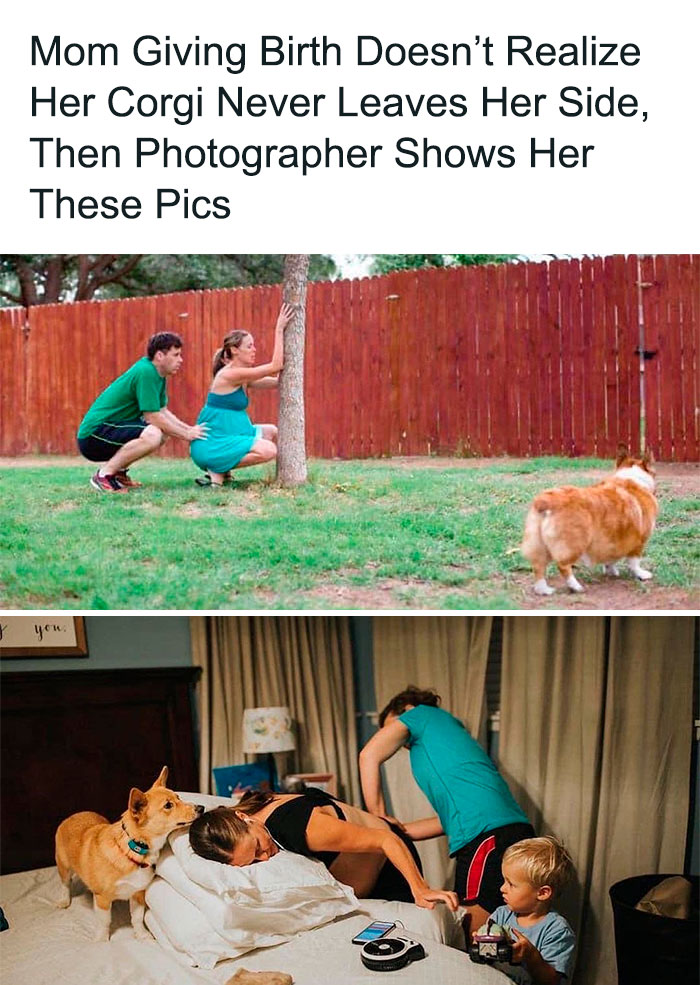 Wholesome-Memes-Hurtingsouls