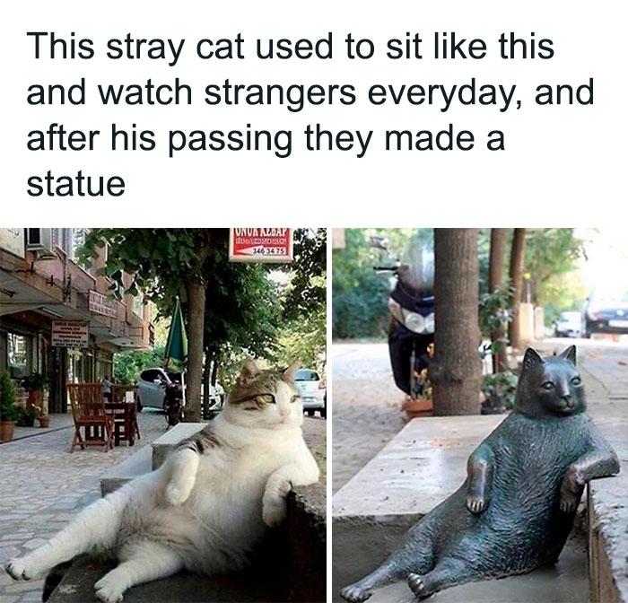 Wholesome-Memes-Hurtingsouls