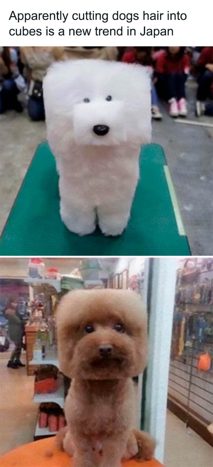 Wholesome-Memes-Hurtingsouls