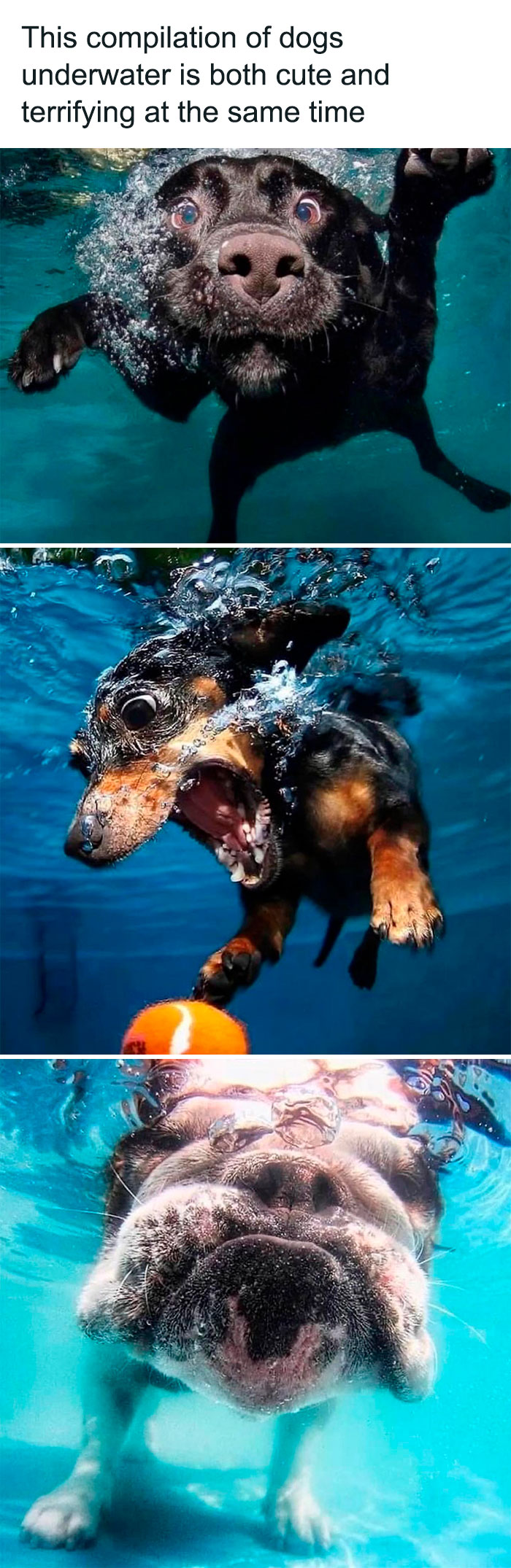 Wholesome-Memes-Hurtingsouls