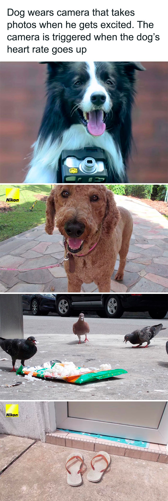 Wholesome-Memes-Hurtingsouls