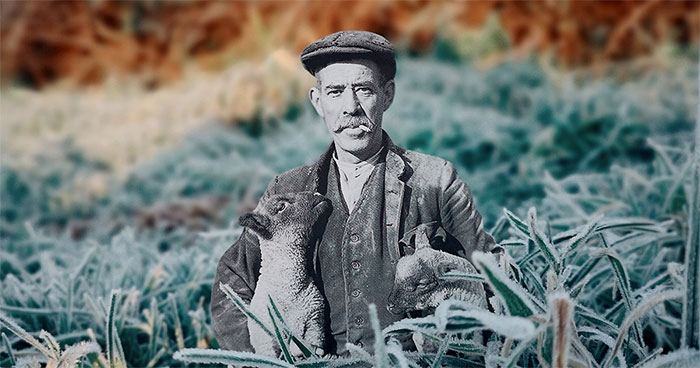 I Give New Lives To Old, Forgotten Photographs By Creating Collages With Them Surrounded By Nature (36 Pics)