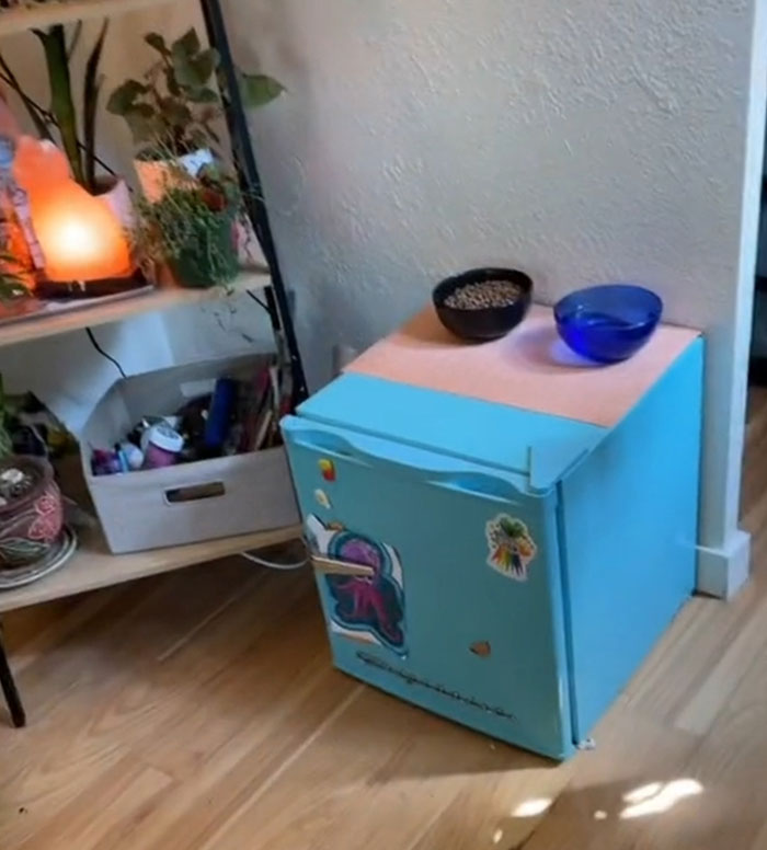 Woman Comes Up With Creative Idea To Save On Rent And Have Her Own Space, Goes Viral