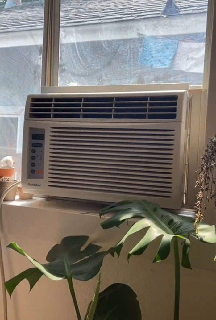 Woman Comes Up With Creative Idea To Save On Rent And Have Her Own Space, Goes Viral