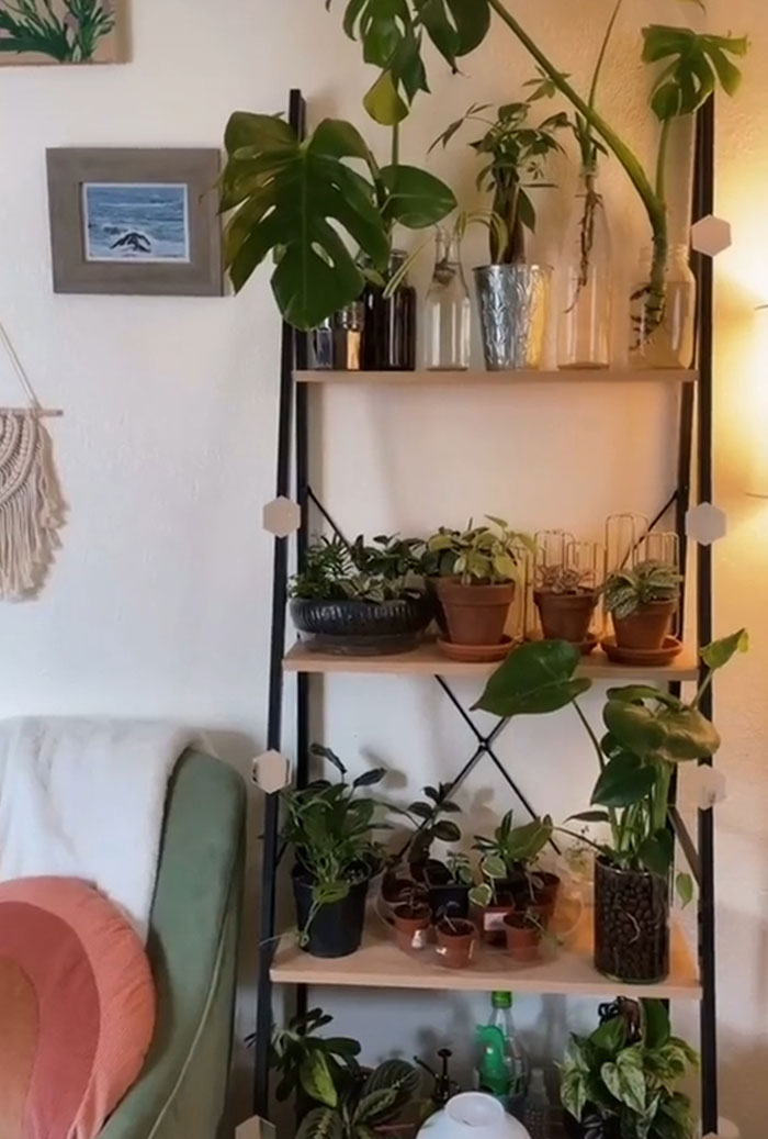 Woman Comes Up With Creative Idea To Save On Rent And Have Her Own Space, Goes Viral