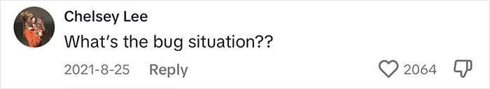 Woman Comes Up With Creative Idea To Save On Rent And Have Her Own Space, Goes Viral