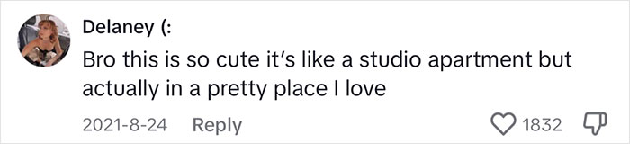 Woman Comes Up With Creative Idea To Save On Rent And Have Her Own Space, Goes Viral