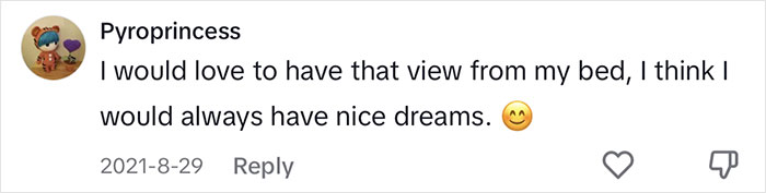 Woman Comes Up With Creative Idea To Save On Rent And Have Her Own Space, Goes Viral