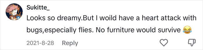 Woman Comes Up With Creative Idea To Save On Rent And Have Her Own Space, Goes Viral