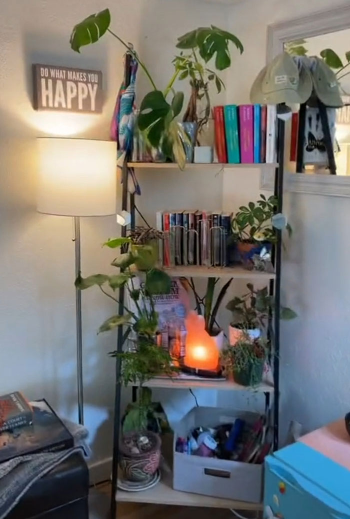 Woman Comes Up With Creative Idea To Save On Rent And Have Her Own Space, Goes Viral
