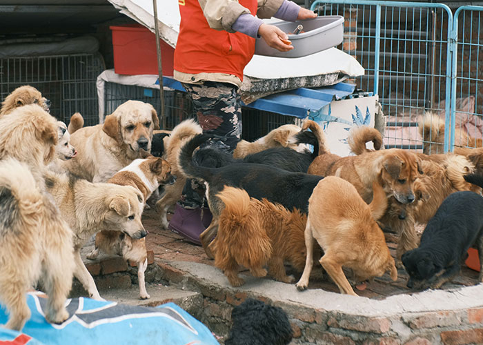 30 People Share The Worst And Craziest First Day At Work They Had