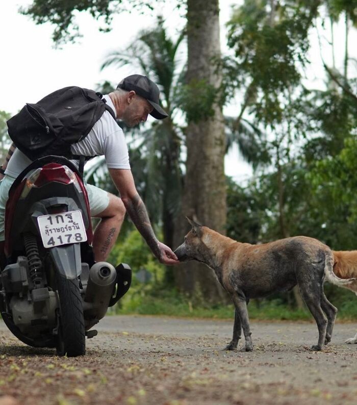Man Finds His True Happiness Saving Stray Dogs In Thailand (20 Pics) Man Finds His True Happiness Saving Stray Dogs In Thailand (20 Pics)