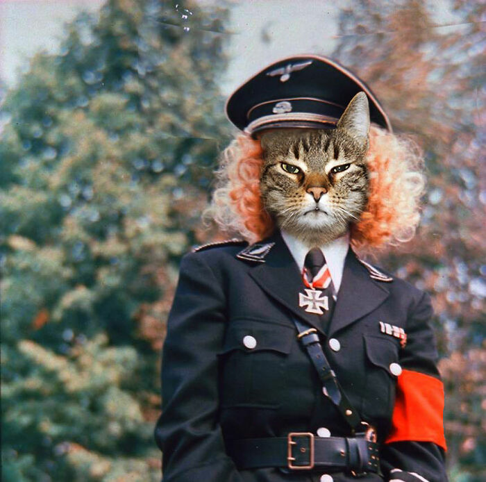 An Artist Creates Photo Collages With Cats And They're Weirdly Purrrfect (29 Pics)