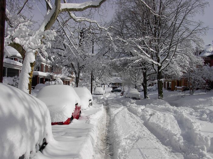 A Light Dusting Of Snow. My Street In Pittsburgh, Pa