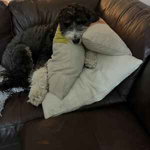 nathan-cherry0311 avatar