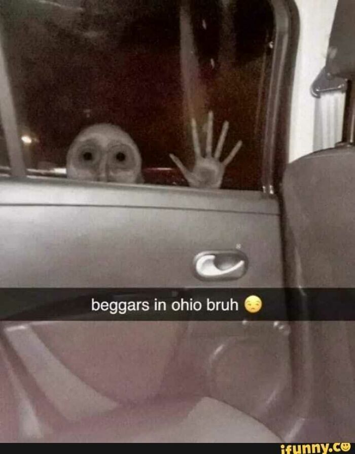 Hilarious-Cursed-Images