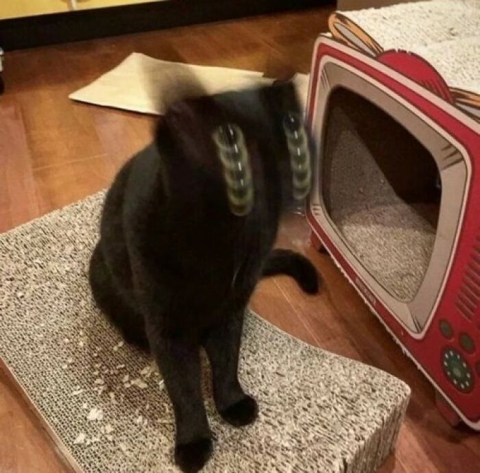 Hilarious-Cursed-Images