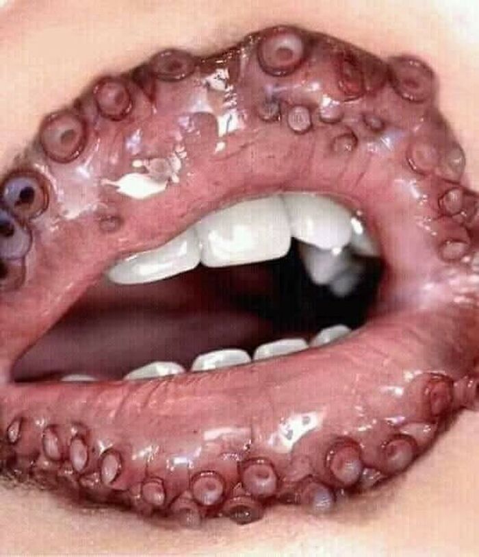 Cursed-Funny-Nonsense-Pics