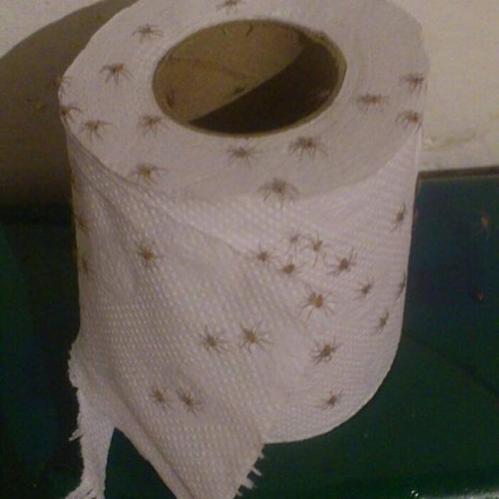 Cursed-Funny-Nonsense-Pics