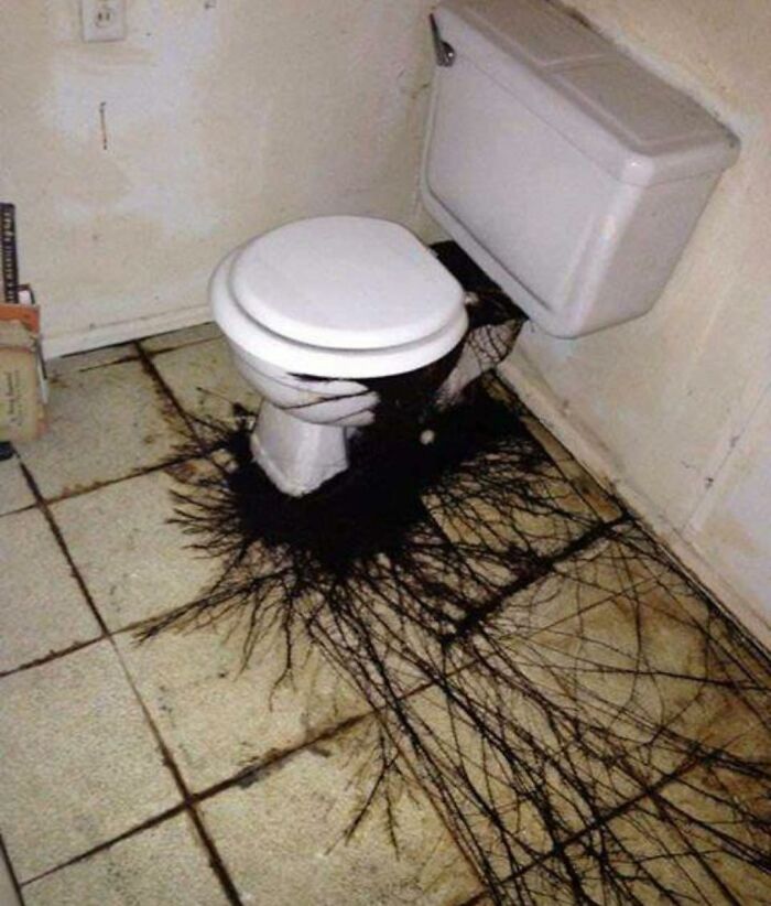 Cursed-Funny-Nonsense-Pics