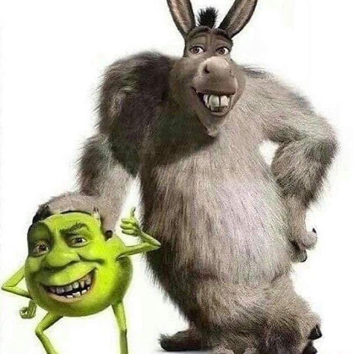 Cursed-Funny-Nonsense-Pics