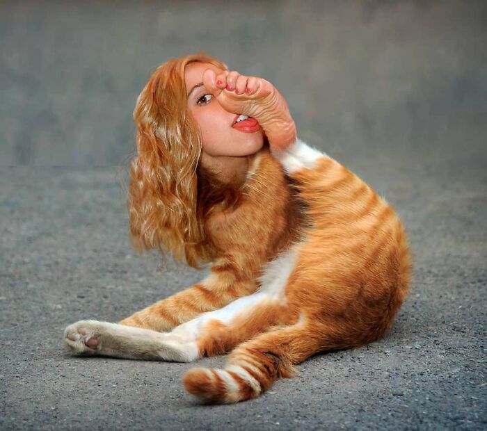 An Artist Creates Photo Collages With Cats And They're Weirdly Purrrfect (29 Pics)