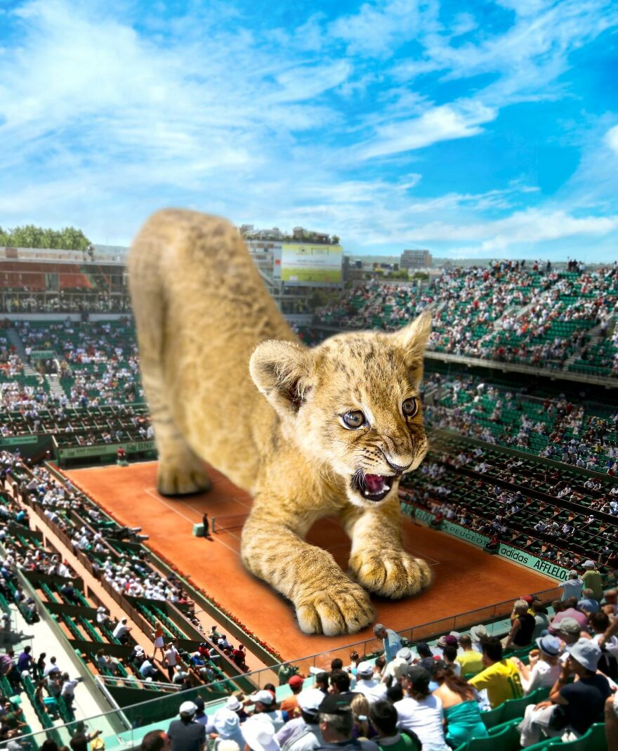 Giant Animals Invade Cities Through Two Digital Artists (16 Pics)