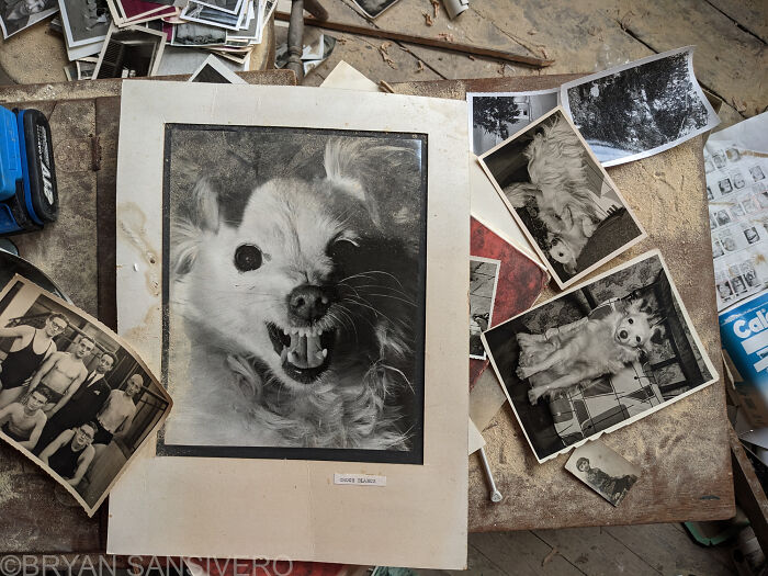 The Dark Past Of This Abandoned House Made Me Visit And Photograph It (15 Pics)