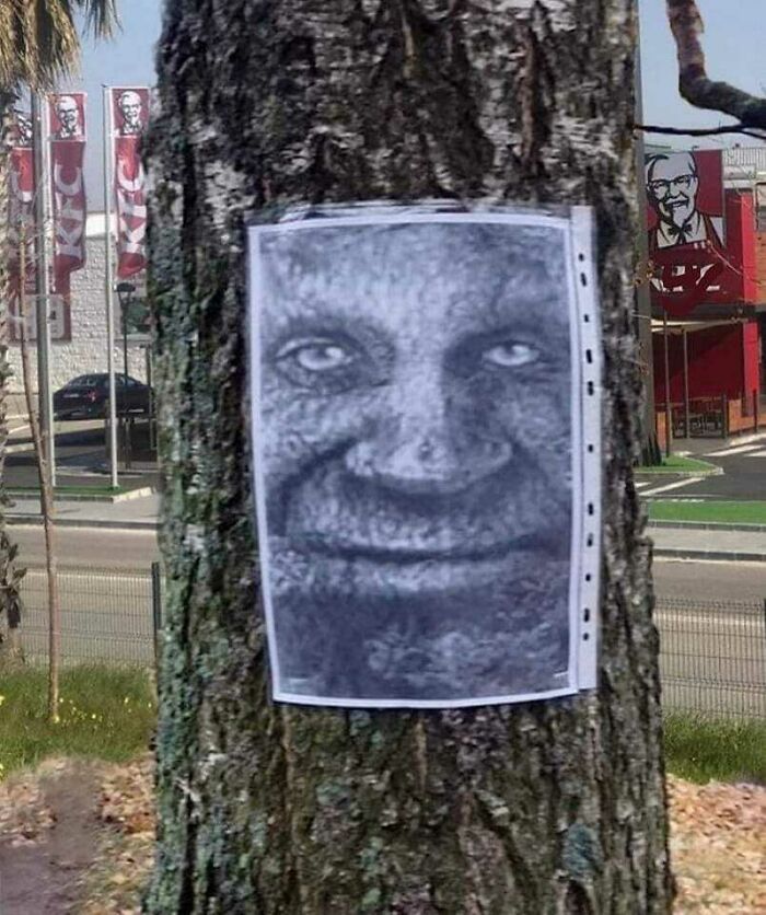 Hilarious-Cursed-Images