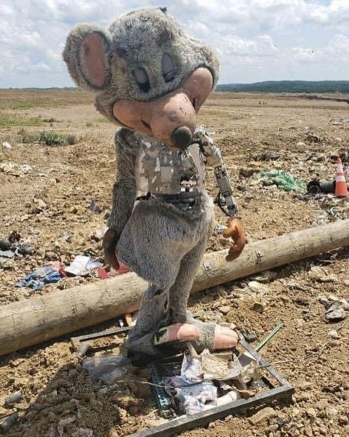 Cursed-Funny-Nonsense-Pics